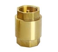 Le valvole di ritegno a molla di ritegno in ottone da 1 pollice resistenti assicurano il movimento unidirezionale per le valvole di ritegno di aspirazione della fontana