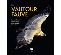Le Vautour fauve