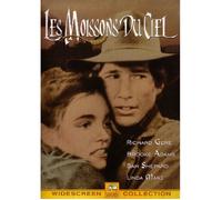 Le Vendemmia Del Cielo DVD Nuova