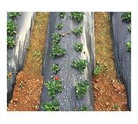 Le verdure, Pellicola in PE for serre di ortaggi, pacciamatura nera agricola da 0,008 mm, pellicola riflettente for pacciamatura anti-erbacce for serre da giardino, 1 pz.(W*L 1m*300m)