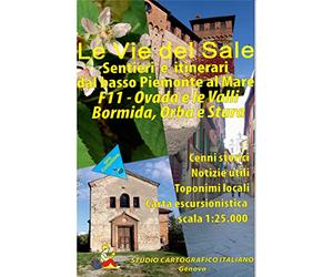 Le vie del sale. Sentieri e itinerari dal basso Piemonte al mare. Scala 1:25.000. Ovada e le valli Bormida, Orba e Stura (Vol. 11)