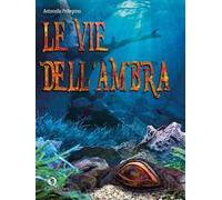 Le vie dell'ambra