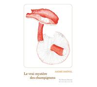 Le Vrai Mystere Des Champignons
