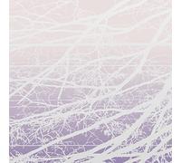 Lea Bertucci - Metal Aether / Resonant Field