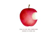 Lead us not into temptation deliver us from evil: A Guided Bible Study Journal on Spiritual Resistance