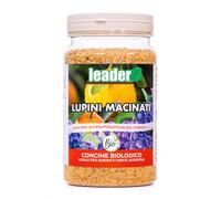Leader Lupini Macinati 1,5 kg Concime per Agrumi e Acidofile | 100% vegetale, inodore, in microscaglie, per limoni, agrumi, camelie, azalee, gardenie e gerani