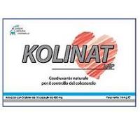 leader natural pharma srl Kolinat 30capsule