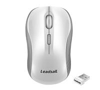 LeadsaiL Mouse Wireless, Mouse Senza Fili per PC Portatile, Mouse USB Ergonomico, 1600 DPI, 3 Pulsanti, Clic Silenzioso, 2.4 GHz, con Ricevitore USB Wireless Compatibile con Chromebook, Mac, Laptop
