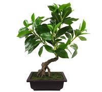 Leaf Albero artificiale, materiali misti, bonsai, verde, 50 cm