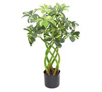 Leaf Arboricola artificiale, pianta sempreverde, bonsai, 70 cm