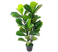 Leaf Design UK AZ-FIG - Fico artificiale realistico, verde, 90 cm
