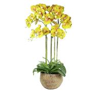 Leaf Design UK - Orchidea artificiale realistica in vaso