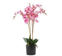 Leaf Design UK - Orchidea artificiale realistica in vaso, 60 cm, rosa