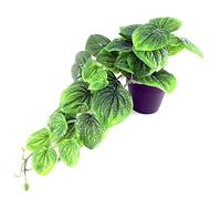 Leaf Design UK - Pianta artificiale realistica, 35 cm, in vaso verde