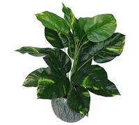Leaf Design UK - Pianta artificiale realistica con vaso