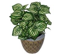 Leaf Design UK - Pianta artificiale realistica con vaso, anguria, 45 cm