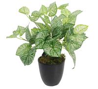 Leaf Design UK - Pianta artificiale realistica con vaso, materiali misti, caladio, 40 cm