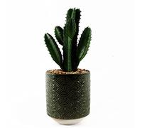 Leaf Design UK - Pianta di cactus realistica in vaso in ceramica, 23 cm