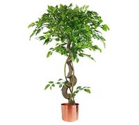 Leaf Fruticosa Ficus artificiale realistico giapponese, rame intrecciato, 120 cm