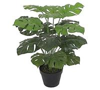 Leaf Leaf-7068 - Pianta Artificiale di Monstera, 60 cm, Vaso Nero
