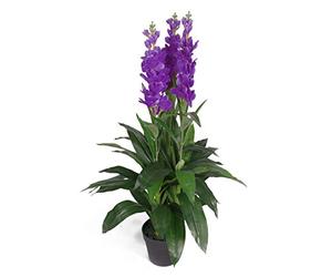 Leaf LEAF-7243 - Pianta artificiale Cymbidium Orchidea, 100 cm, colore: Viola