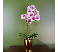Leaf Orchidea Arlecchino artificiale, 48 cm, rosa con vaso dorato