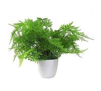 Leaf Pianta artificiale realistica di felce, 30 cm