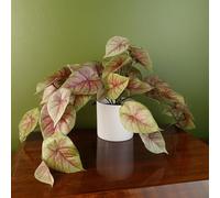 Leaf Piante artificiali da ufficio, da scrivania, realistiche