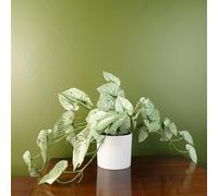 Leaf Piante artificiali da ufficio, da scrivania, realistiche