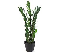Leaf Piante artificiali tropicali, 75 cm Zamioculcas