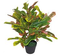 Leaf Progettare piante artificiali tropicali