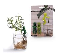 Leafriend: supporto per la propagazione delle piante; supporto per germogli, steli, germogli e talee; 3 graziosi supporti per piante per una staz