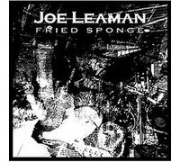 Leaman Joemeadows - Fried Sponge