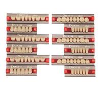 Leapiture Resina sintetica Falsa Falsi Materiale Denti Dentist Dentista Fornisce una durata multi -scopo per la sostituzione