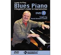 Learn to Play Blues Piano -: DVD 1 [Edizione: Regno Unito]