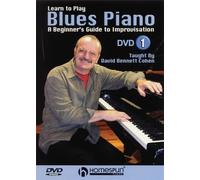 Learn to Play Blues Piano -: DVD 1 [Edizione: Regno Unito]