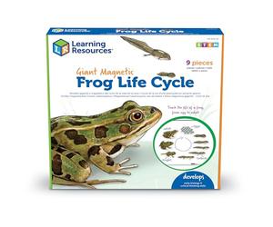 Learning Resources Ciclo di Vita di Una Rana Magnetico Gigante