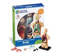 Learning Resources Corpo Umano per Bambini, Modello Anatomico, 31 Pezzi, 8+ | Costruisci il corpo umano pezzo dopo pezzo, esplorando organi e strutture interne per comprendere l'anatomia in modo pratico