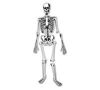 Learning Resources- Skeleton Floor Puzzle da Pavimento in Schiuma a Forma di Sch