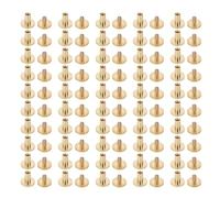 Leather Fasteners Kit 50pcs Solid Brass Binding Rivets for Belt Strap Colllar Back Screws Leather Craft Book Binding DIY Crafts Brass Material 50 Fasteners 50 Slot Screws (10 x 8 mm)