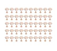 Leather Rivets Kit 50Pcs | 15mm Zinc Alloy Hex Nail with Slot Screws | Binding Rivets for Leathercraft/Belts/Bags | Non - Corroding & Abrasion - Tolerant (Light Gold)
