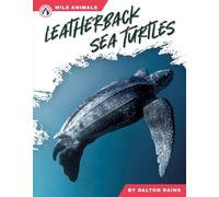 Leatherback Sea Turtles