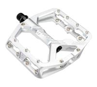 Leatt PEDALI ALLMTN 6.0 FLAT - ARGENTO - WIDE 114X107MM