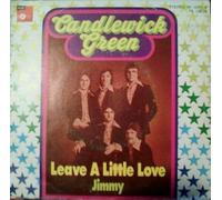 LEAVE A LITTLE LOVE 7 INCH (7" VINYL 45) UK DECCA 1974