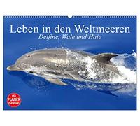 Leben in den Weltmeeren. Delfine, Wale und Haie (Wandkalender 2026 DIN A2 quer), CALVENDO Monatskalender: Gleiten und Leben in den Ozeanen der Welt