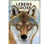 Lebensgroß: Tiere des Waldes