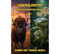 Lebenslichter: Packende Kurzgeschichten über Seelen - also Lebenslichter - beginnend im Jahre 0 bis ins Jahr 2025.