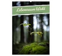 Lebensraum Wald (Wandkalender 2026 DIN A2 hoch), CALVENDO Monatskalender: Ein Jahr voller magischer Momente im Wald, festgehalten in wunderschönen Aufnahmen.