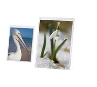 LEBEZ - 5254 - Portadepliant A4 - PVC semirigido - Lebez - 50518 - Conf. da 1 Pz. - 5254