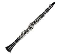 Lechgold BK-20/22 Clarinetto Bb tedesco, 22 chiavi, 6 anelli, corpo grenadilla, meccanica nickel silver argentato. Include 2 ance, bocchino e custodia morbida.